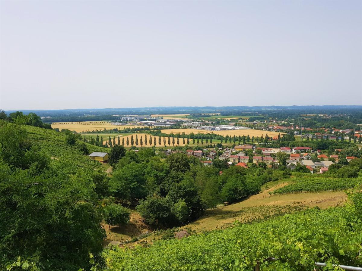 Fado Apartments Lendava Exteriér fotografie